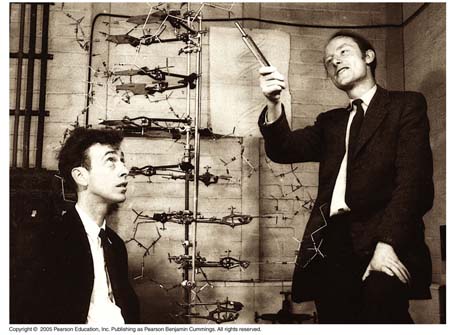 16_01WatsonAndCrick